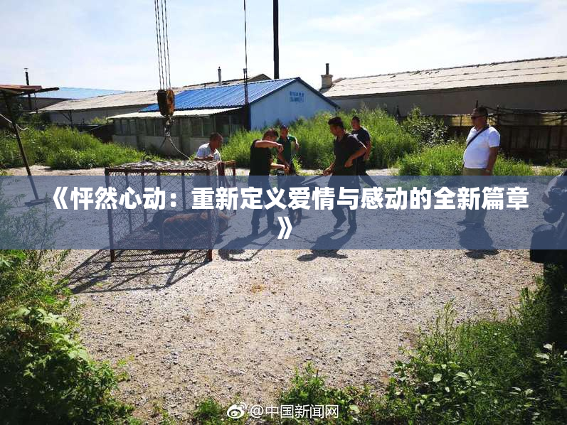 《怦然心动：重新定义爱情与感动的全新篇章》