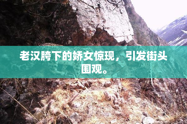 老汉胯下的娇女惊现，引发街头围观。