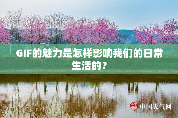 GIF的魅力是怎样影响我们的日常生活的？