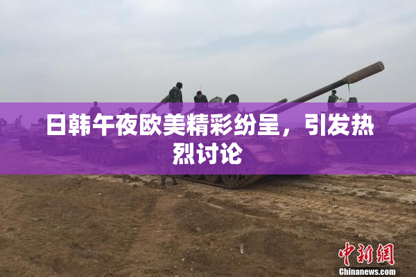 日韩午夜欧美精彩纷呈，引发热烈讨论