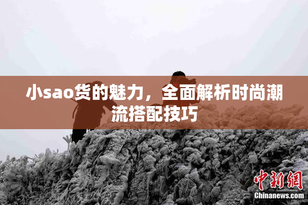 小sao货的魅力，全面解析时尚潮流搭配技巧
