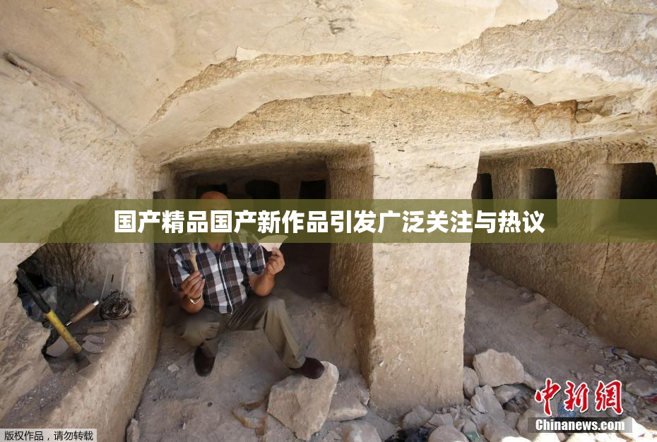 国产精品国产新作品引发广泛关注与热议