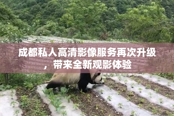 成都私人高清影像服务再次升级，带来全新观影体验