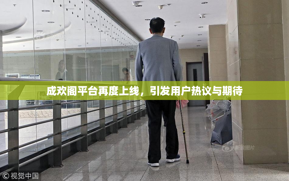 成欢阁平台再度上线，引发用户热议与期待