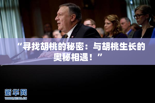 “寻找胡桃的秘密：与胡桃生长的奥秘相遇！”