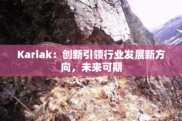 Kariak：创新引领行业发展新方向，未来可期
