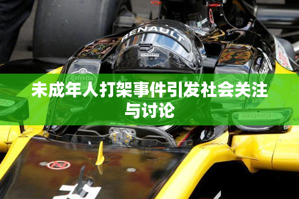 未成年人打架事件引发社会关注与讨论