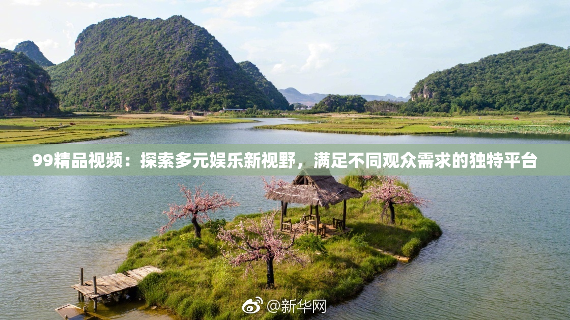 99精品视频：探索多元娱乐新视野，满足不同观众需求的独特平台