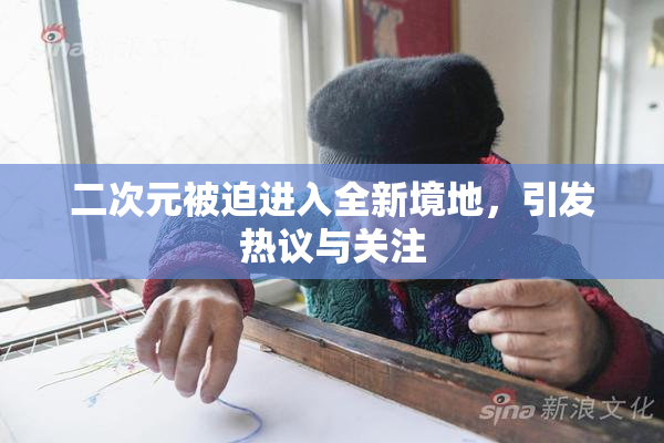 二次元被迫进入全新境地，引发热议与关注