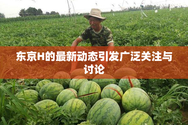 东京H的最新动态引发广泛关注与讨论