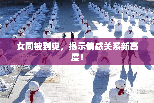 女同被到爽，揭示情感关系新高度！