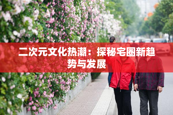 二次元文化热潮：探秘宅圈新趋势与发展