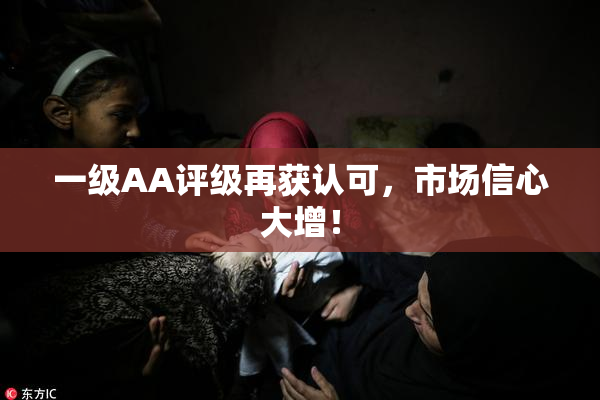 一级AA评级再获认可，市场信心大增！
