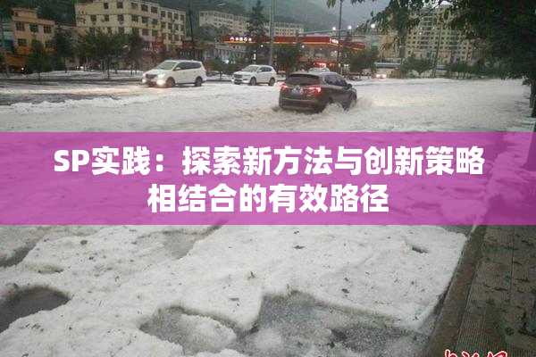 SP实践：探索新方法与创新策略相结合的有效路径