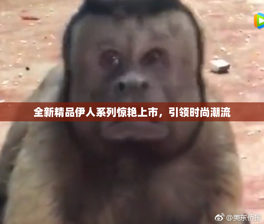 全新精品伊人系列惊艳上市，引领时尚潮流