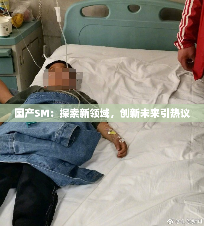 国产SM：探索新领域，创新未来引热议