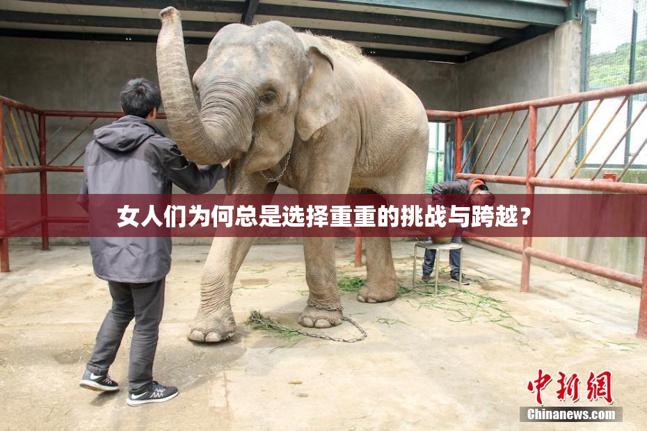 女人们为何总是选择重重的挑战与跨越？