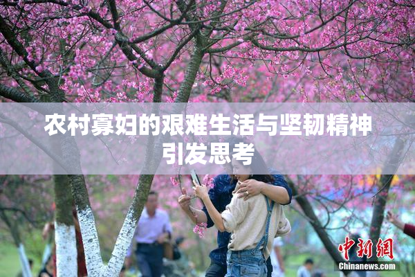 农村寡妇的艰难生活与坚韧精神引发思考