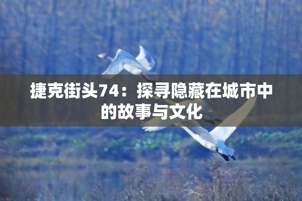 捷克街头74：探寻隐藏在城市中的故事与文化