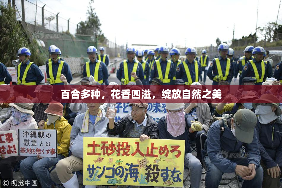 百合多种，花香四溢，绽放自然之美