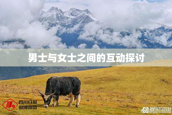 男士与女士之间的互动探讨