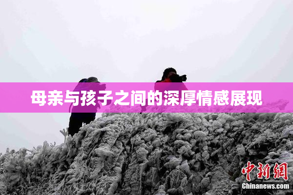 母亲与孩子之间的深厚情感展现