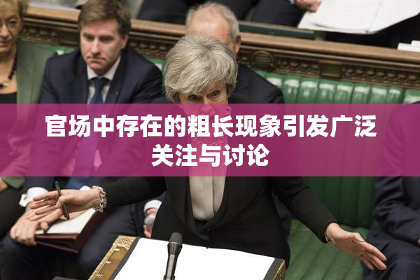 官场中存在的粗长现象引发广泛关注与讨论
