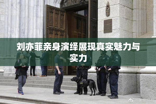 刘亦菲亲身演绎展现真实魅力与实力