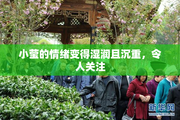 小莹的情绪变得湿润且沉重，令人关注