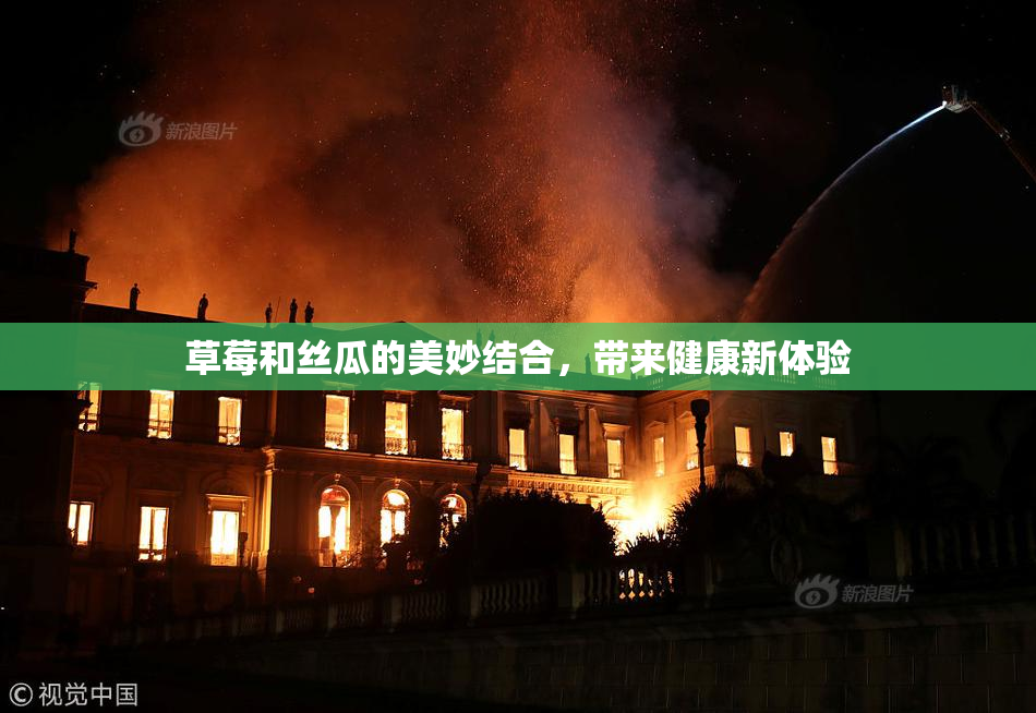 草莓和丝瓜的美妙结合，带来健康新体验