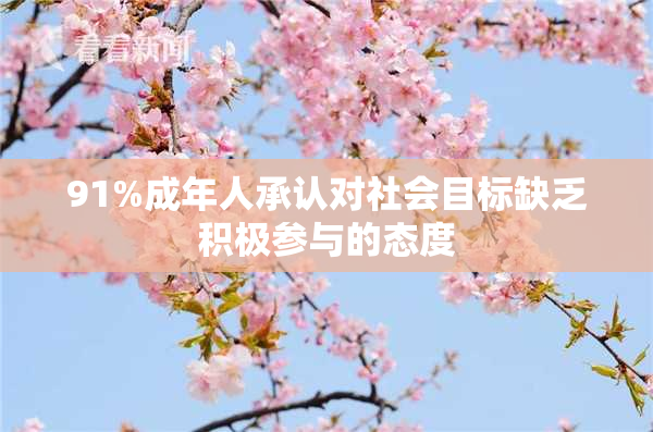 91%成年人承认对社会目标缺乏积极参与的态度