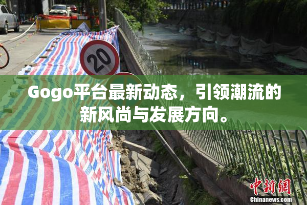 Gogo平台最新动态，引领潮流的新风尚与发展方向。