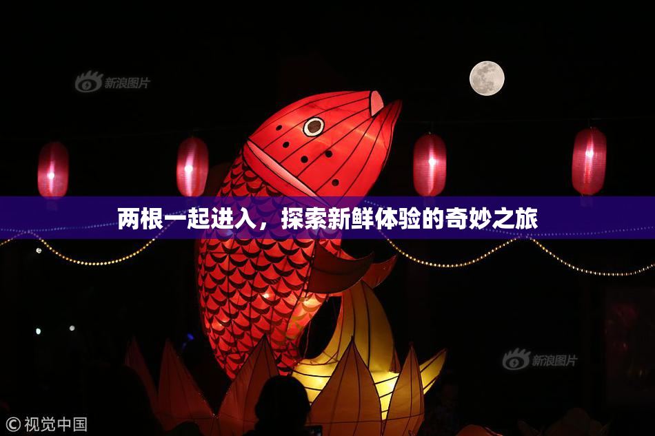 两根一起进入，探索新鲜体验的奇妙之旅