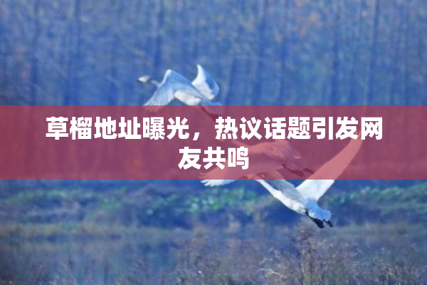 草榴地址曝光，热议话题引发网友共鸣