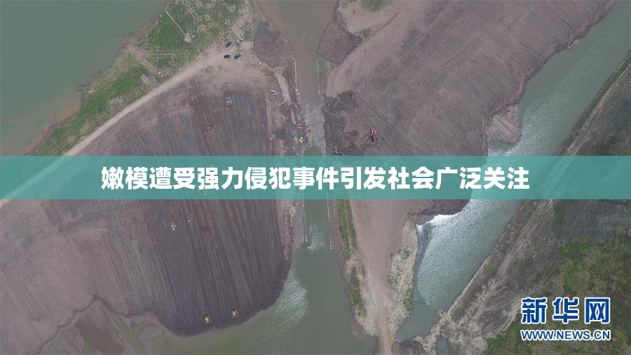 嫩模遭受强力侵犯事件引发社会广泛关注