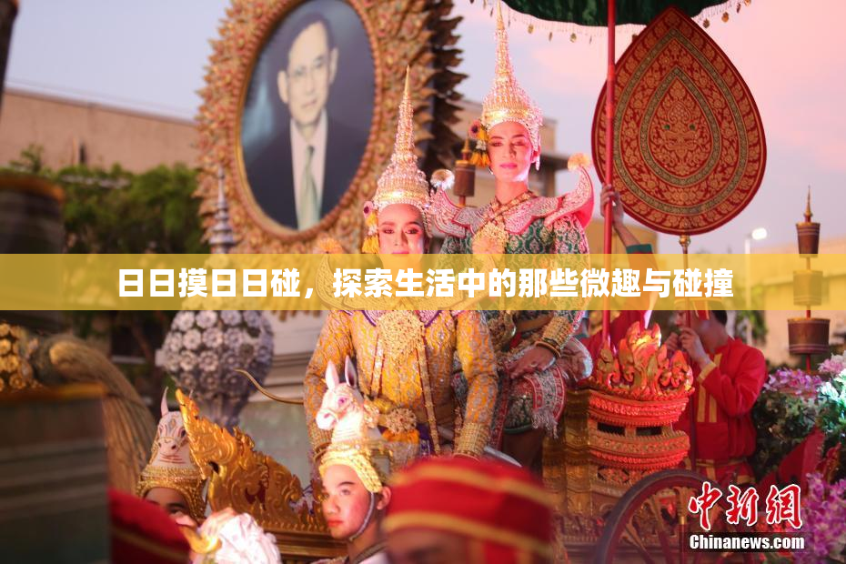日日摸日日碰，探索生活中的那些微趣与碰撞
