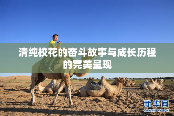 清纯校花的奋斗故事与成长历程的完美呈现