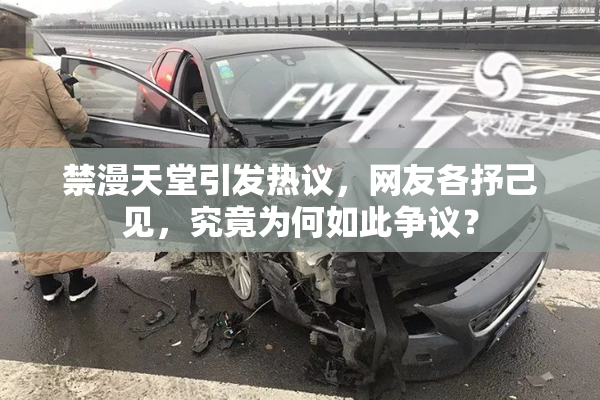 禁漫天堂引发热议，网友各抒己见，究竟为何如此争议？