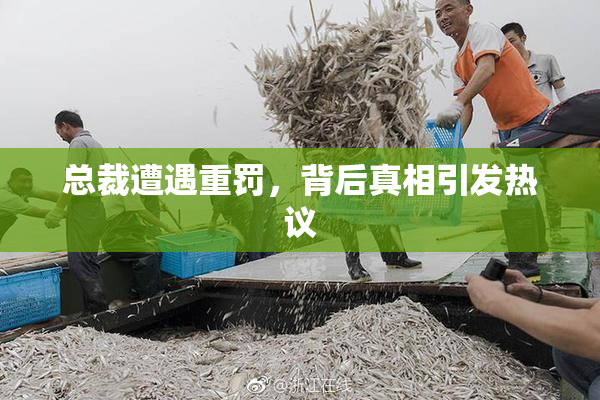 总裁遭遇重罚，背后真相引发热议