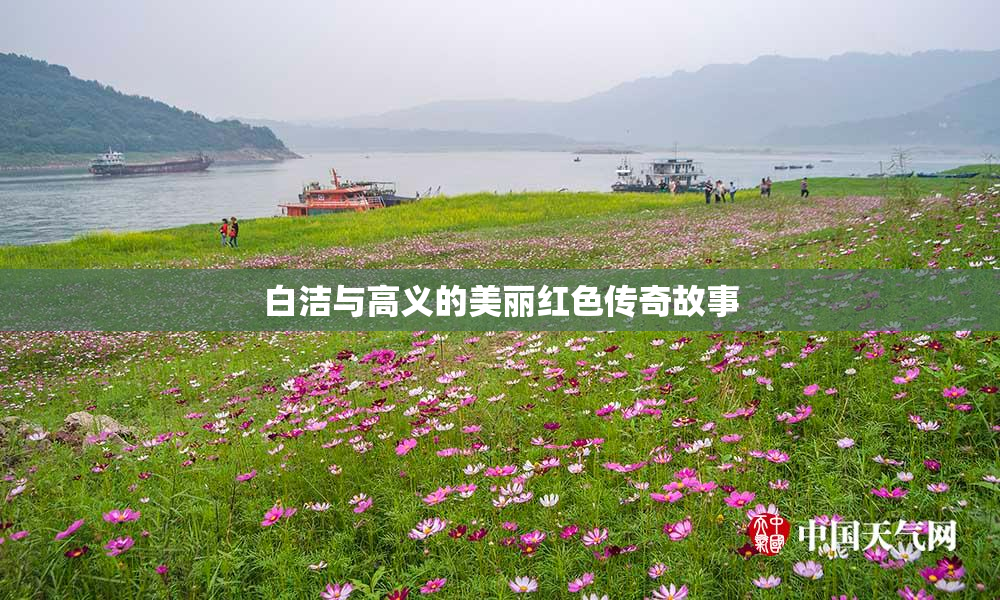 白洁与高义的美丽红色传奇故事