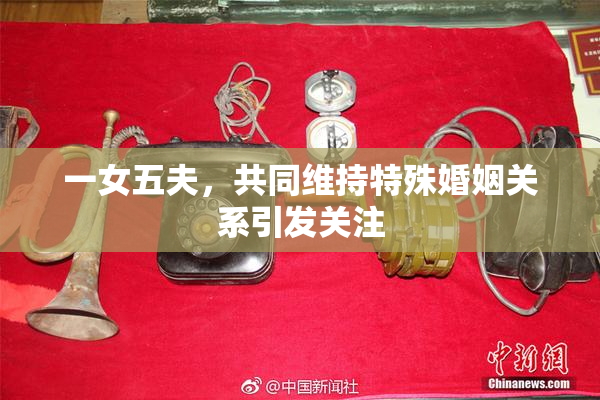 一女五夫，共同维持特殊婚姻关系引发关注