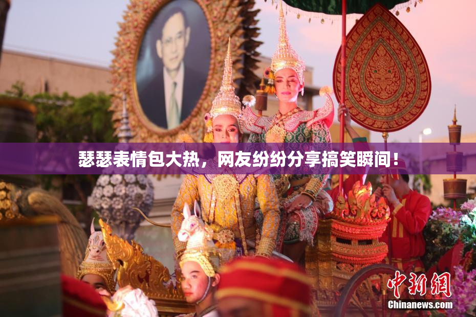 瑟瑟表情包大热，网友纷纷分享搞笑瞬间！