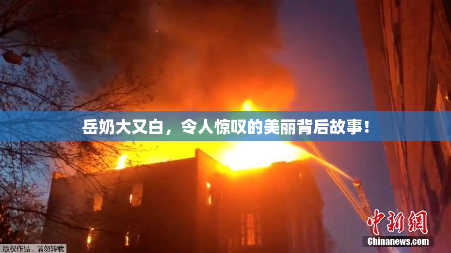 岳奶大又白，令人惊叹的美丽背后故事！