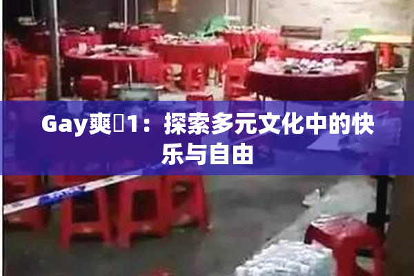 Gay爽擼1：探索多元文化中的快乐与自由