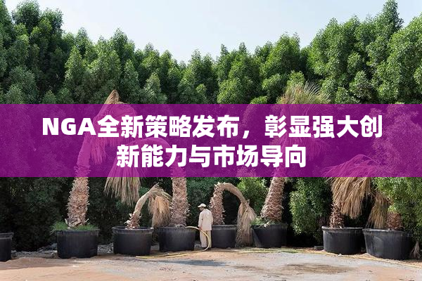 NGA全新策略发布，彰显强大创新能力与市场导向