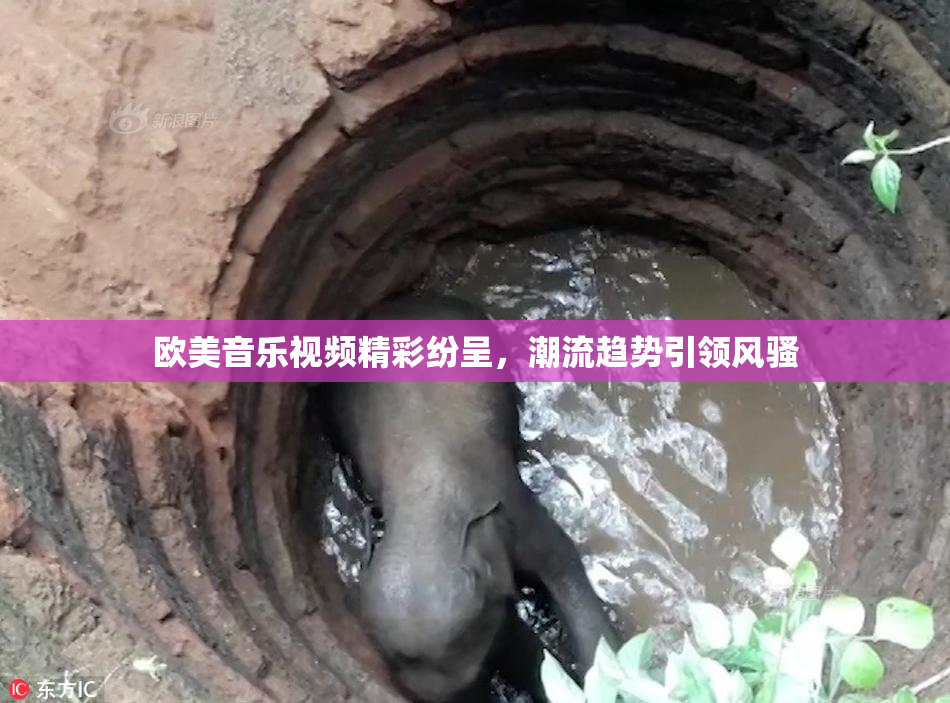 欧美音乐视频精彩纷呈，潮流趋势引领风骚