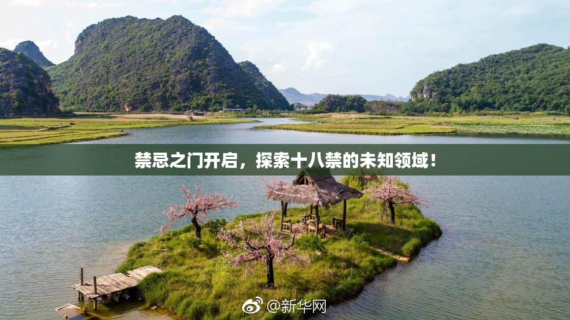 禁忌之门开启，探索十八禁的未知领域！