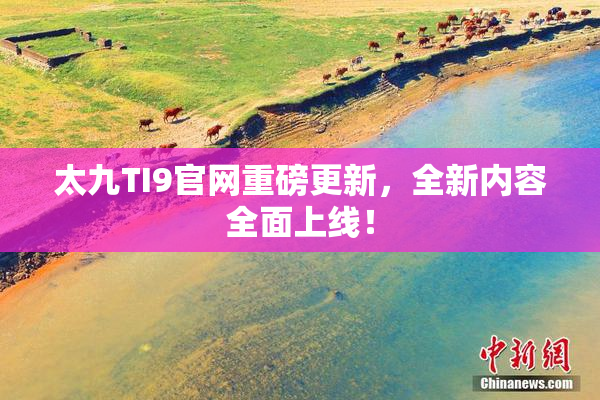 太九TI9官网重磅更新，全新内容全面上线！