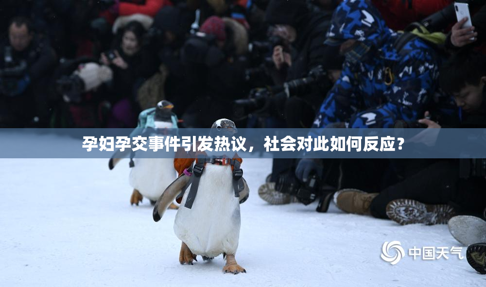 孕妇孕交事件引发热议，社会对此如何反应？
