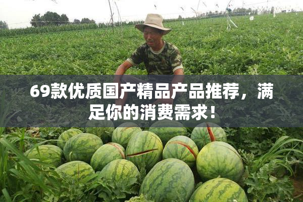 69款优质国产精品产品推荐，满足你的消费需求！